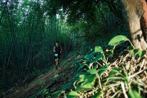 BIB: 
                            <button type="button" onclick="openModal(28124166)" class="btn btn-primary btn-sm float-right btn-popup" data-toggle="modal" data-target=".modal-high-quality">
                        <i class="fas fa-shopping-cart"></i> Add to Cart
                    </button>
                                            <button type="button" onclick="isThisMe(28124166, true)" class="btn btn-success btn-sm float-right btn-popup btn-isme hidden" data-toggle="tooltip" data-placement="bottom" title="นี่คือรูปของคุณใช่ไหม คลิกที่นี่เพื่อเอาเข้าอัลบั้ม">
                        <i class="fas fa-plus"></i> Add to album
                    </button>
                    <button type="button" onclick="isThisMe(28124166, false)" class="btn btn-warning btn-sm float-right btn-popup btn-isnotme hidden">
                        <i class="fas fa-ban"></i> Remove from album
                    </button>